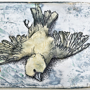 5_card