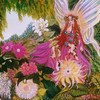 The_fairy_queen_thumb