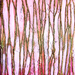 Ley_lines_square