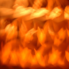 101_thumb