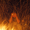 Firepanic_thumb