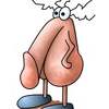 Dik_ed_018_thumb