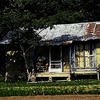 Shotgun_house-1_watercolor_thumb