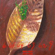 Secretion-6656463629_card