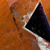 Secret_art_of_nature_iii_thumb