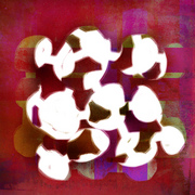 Toolo_card