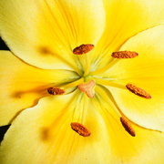 Dscf0506_card