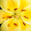 Dscf0506_thumb