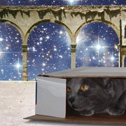 Box_l_card