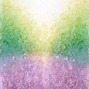 Lavender_field_2_card