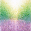 Lavender_field_2_thumb
