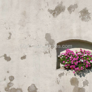 Img_4129_klein_card
