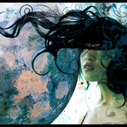Midnightgarden_card