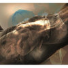 Sunday_morning_paper_thumb