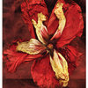 Flower_dance_thumb