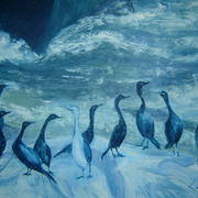 Cormorants_card