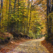 Road_among_trees_horz_2_card