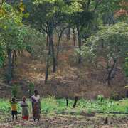 Africa3_card