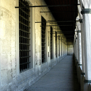 Porch_card