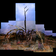 Desertskeleton_03_card
