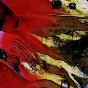 08248_lifestyle_05_card