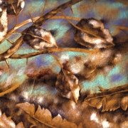Foglie__e__piume_card