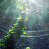 Waterworld_thumb