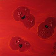 Img_1471mm_card