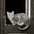 ねこ００２１_tiny_square