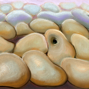 Pebbles_card