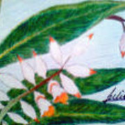Exotic_flower_by_neysa21_edited_card