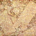Crema_cm_50x62_square