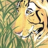 Tiger_traveler_for_net_thumb