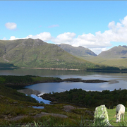 956-scottish_loch_ponies_card