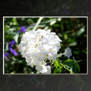 100_3076_card