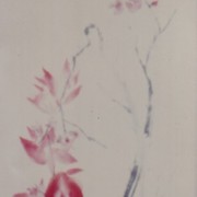 Ch-138-185-beoganvillea_scroll-jpg_card