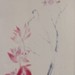 Ch-138-185-beoganvillea_scroll-jpg_square