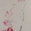 Ch-138-185-beoganvillea_scroll-jpg_thumb