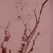Ch-140-187-blossom_tree_scroll-jpg_square