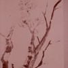 Ch-140-187-blossom_tree_scroll-jpg_thumb
