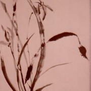 Ch-150-198-orchid-5-_scroll-jpg_card