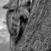 01_a_thumb