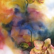 Splendor_20x32_card
