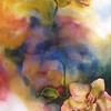 Splendor_20x32_thumb
