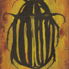 Beetle_thumb