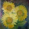 Girasoli_a_s