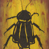 Insect_thumb