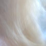 Im000362_card