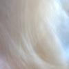Im000362_thumb