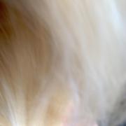 Im000363_card